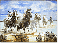 Click here to see a more detailed image