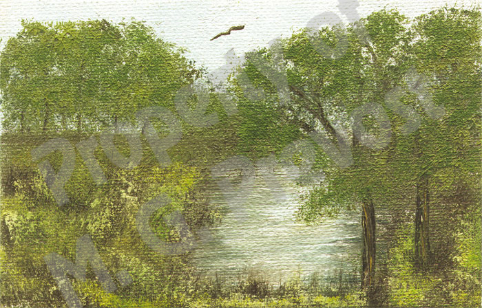 Click here to return